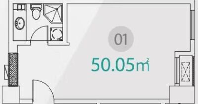 1室1厅1卫 商业类 售罄