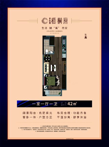 1室1厅1卫 商业类 在售户型图