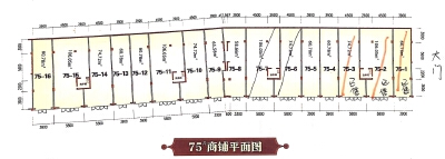1室1厅0卫 底商 售罄