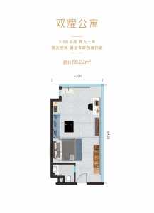 1室1厅1卫 商业类 在售