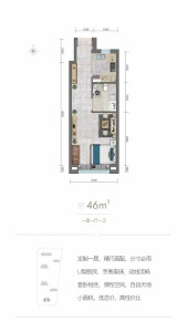 1室1厅1卫 住宅 在售