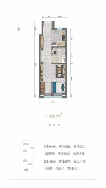 1室1厅1卫 住宅 在售户型图