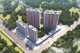 金科·金澜华府