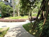 麓山国际水晶岗28号院