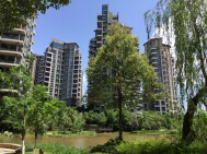 麓山国际橡树坡