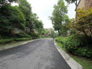 麓山国际逸翠谷