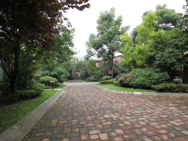 麓山国际翠云岭