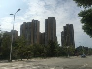 阳光·西雅图