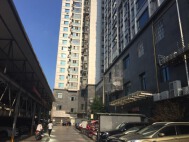 先锋国际