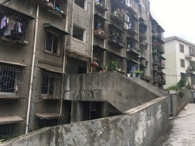 仙桥小区