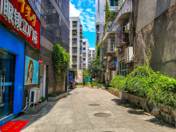 临园路中段54号