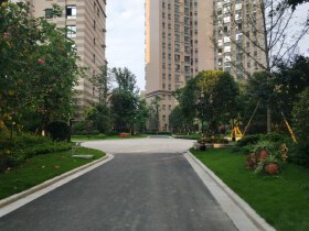 树高三江澜亭B区