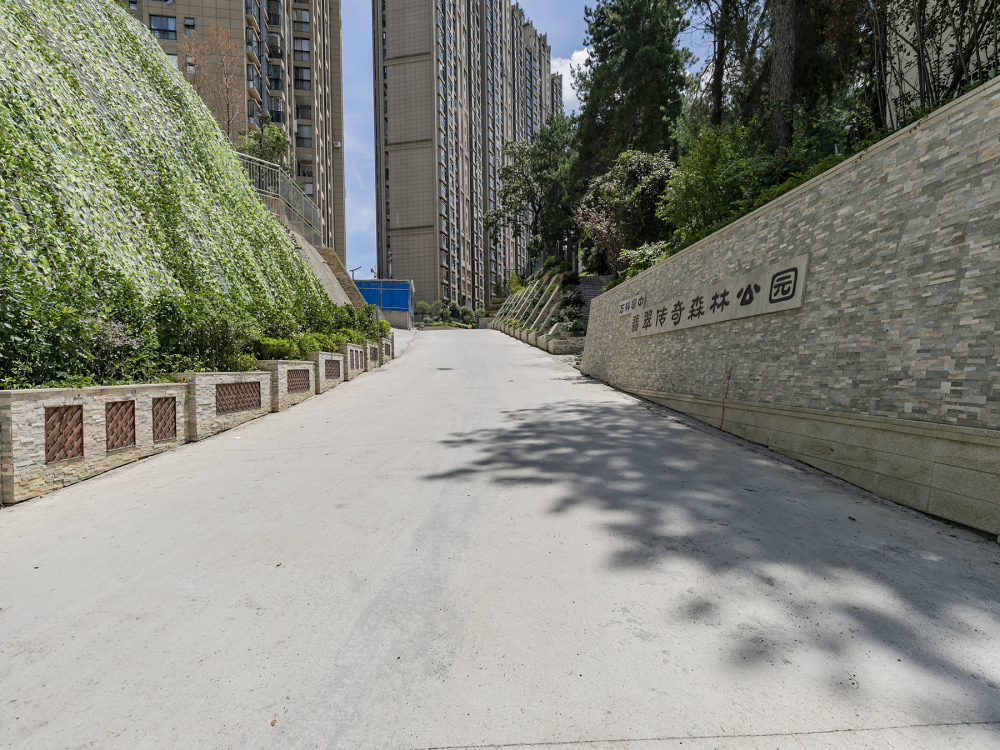 万科富中翡翠传奇森林公园