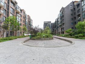 中天帝景传说C区