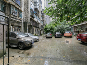 花溪大道北段19号院