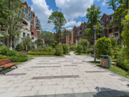 未来方舟G10组团