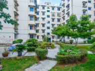 中天花园茶花园