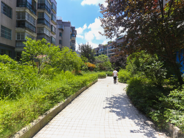 绿苑小区雅然居东区